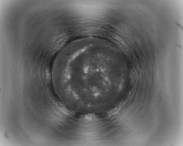 X0000095920420200802011217