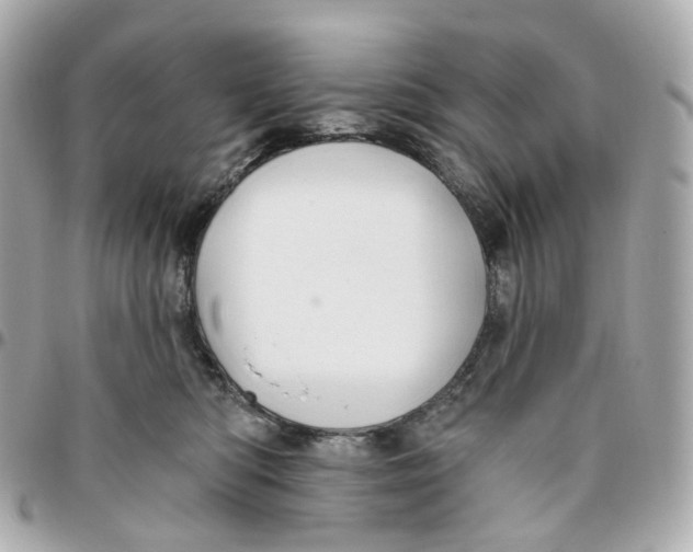 X0000095920422200802011217