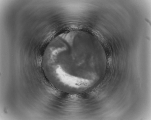 X0000095920423200802011217