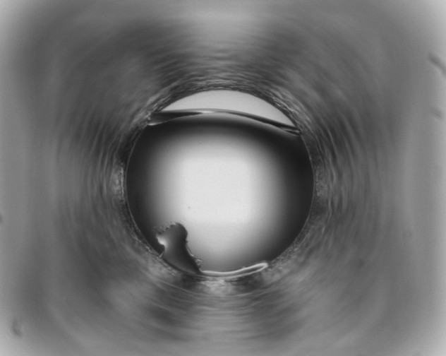 X0000095920425200802011217