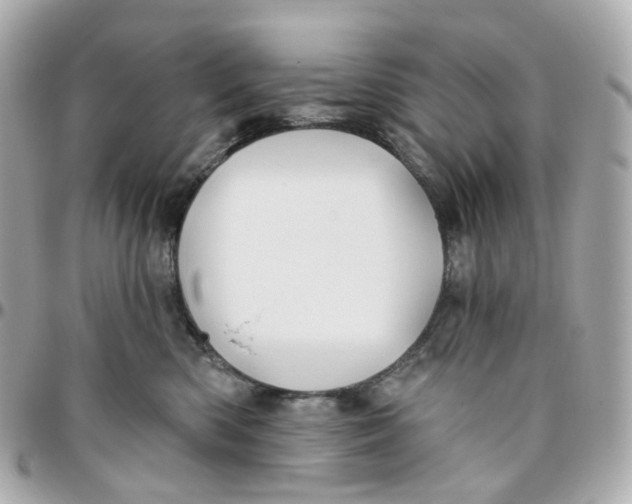 X0000095920426200802011217