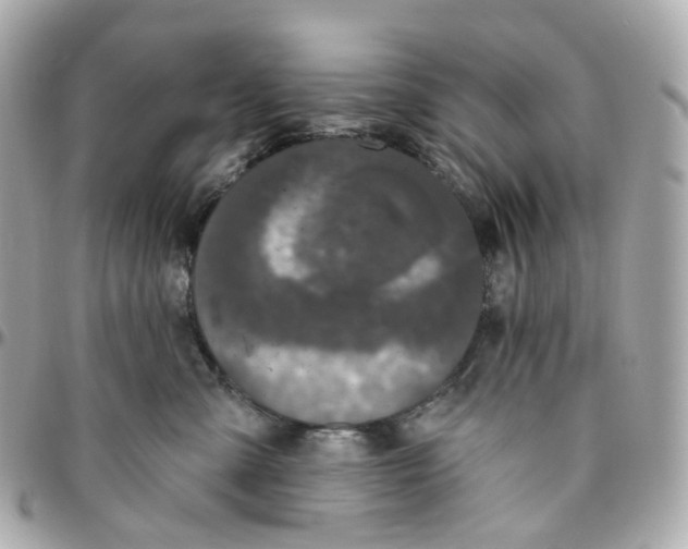 X0000095920427200802011217