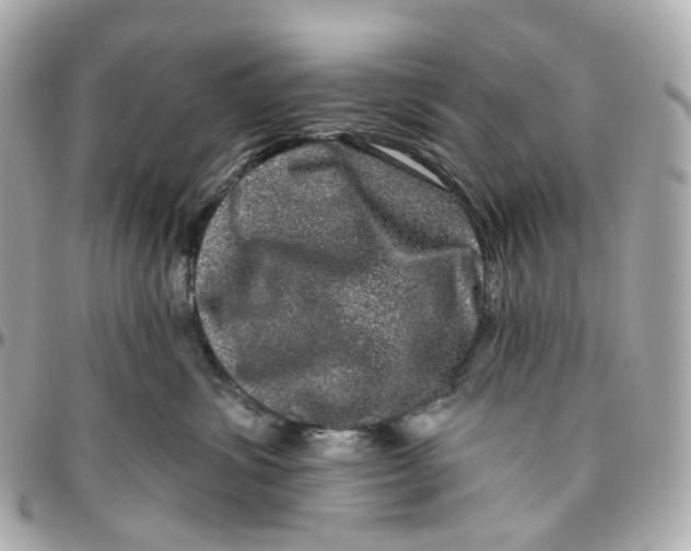 X0000095920428200802011217