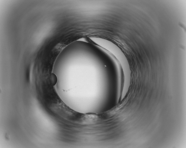 X0000095920429200802011217