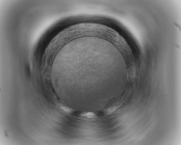 X0000095920431200802011217