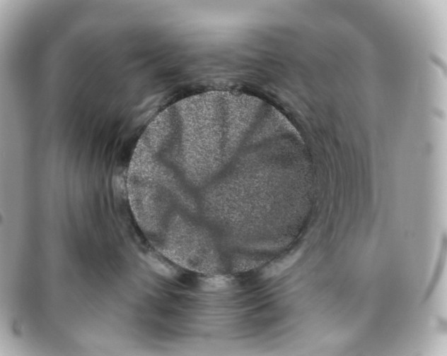 X0000095920432200802011217