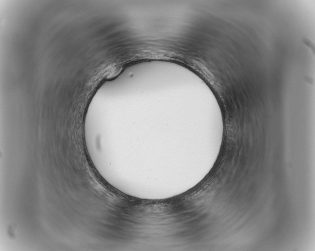 X0000095920433200802011216