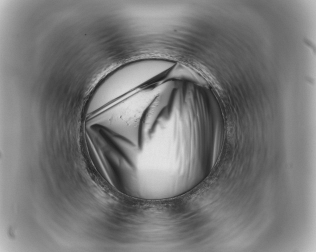 X0000095920434200802011216