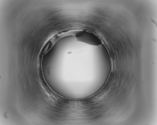 X0000095920435200802011216