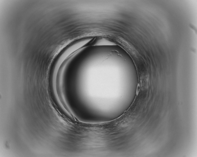 X0000095920436200802011216