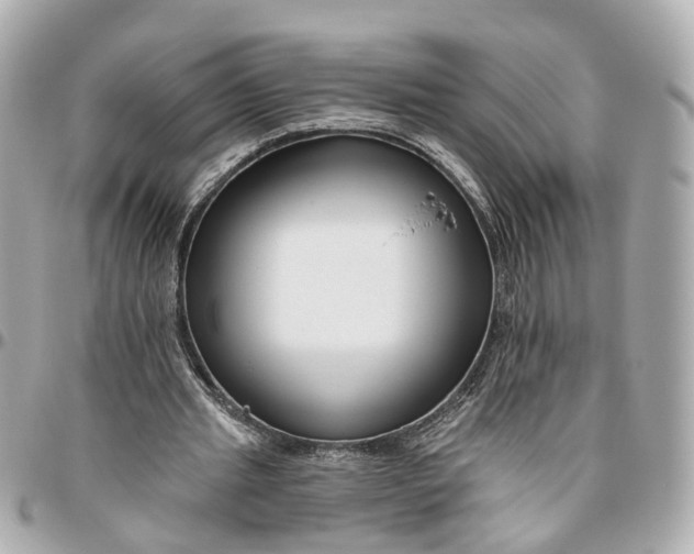 X0000095920437200802011216