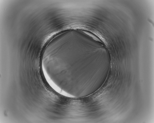 X0000095920438200802011216