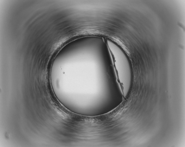 X0000095920439200802011216