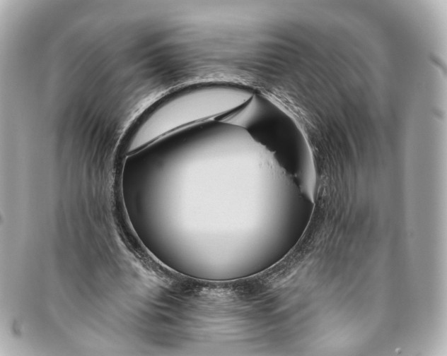 X0000095920440200802011216