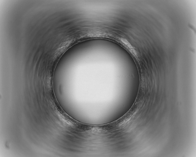 X0000095920441200802011216