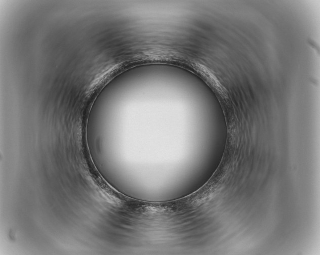 X0000095920442200802011216