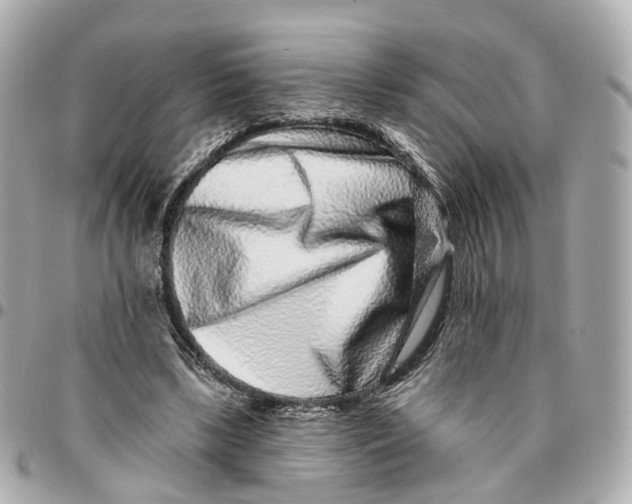 X0000095920443200802011216