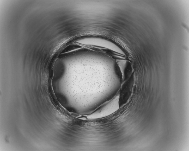 X0000095920444200802011216