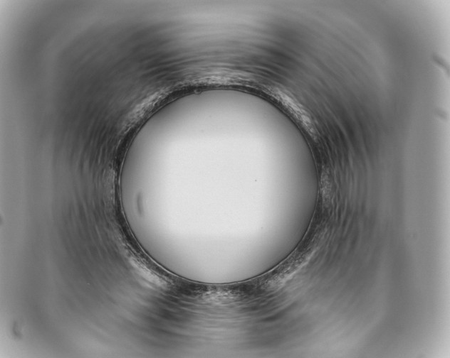 X0000095920445200802011216