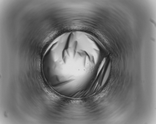 X0000095920446200802011216