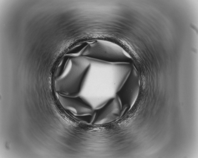 X0000095920447200802011216