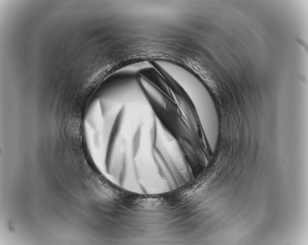 X0000095920449200802011216