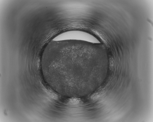 X0000095920451200802011216