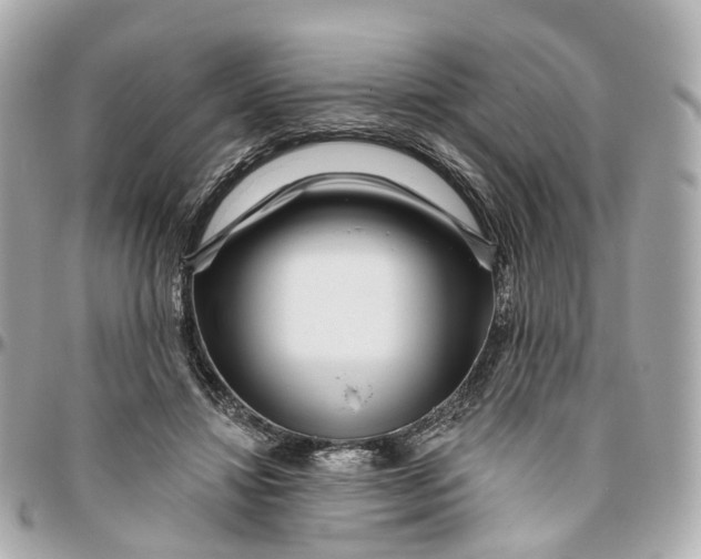 X0000095920452200802011216