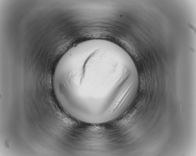 X0000095920453200802011216