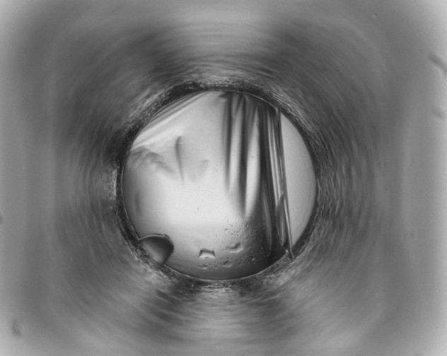 X0000095920454200802011216