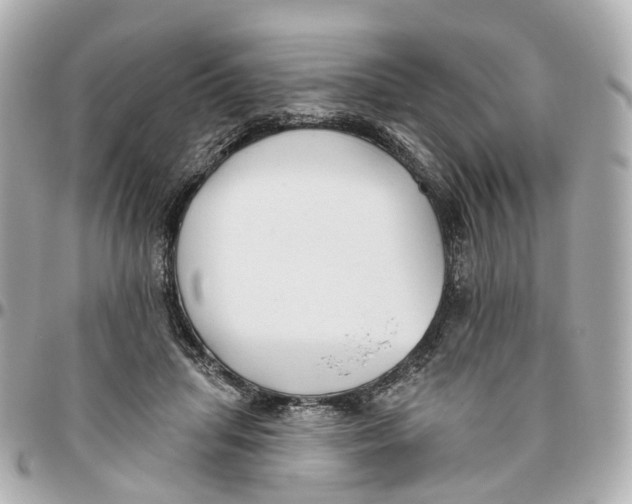 X0000095920455200802011216