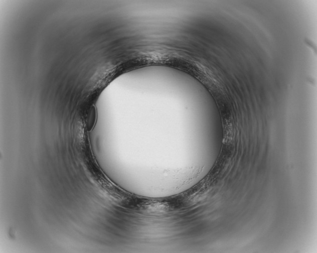 X0000095920456200802011216