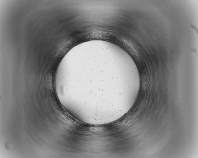 X0000095920457200802011216