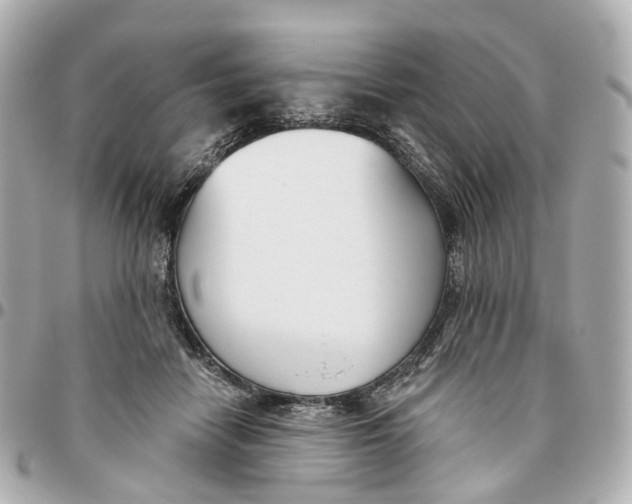 X0000095920458200802011216