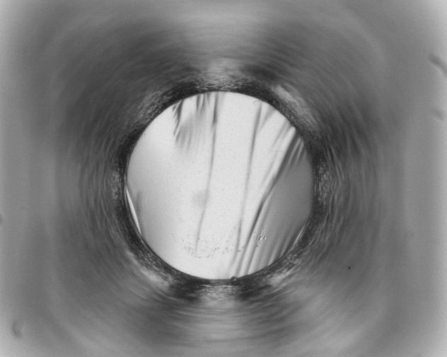 X0000095920459200802011216