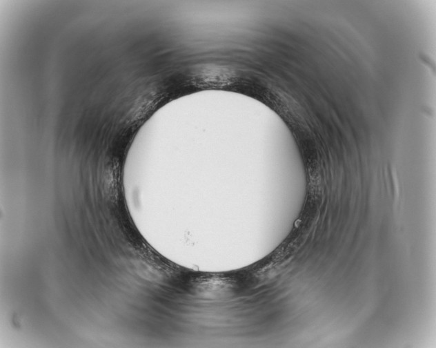 X0000095920460200802011216