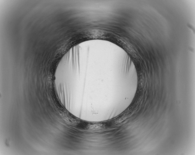 X0000095920461200802011216