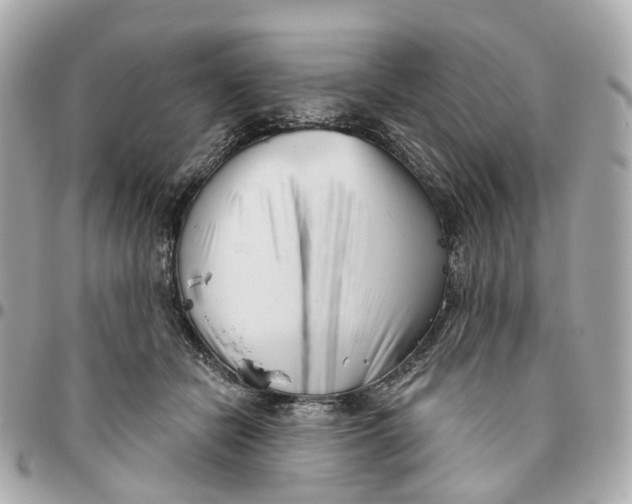 X0000095920462200802011216