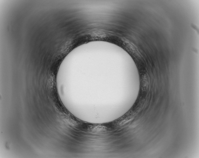 X0000095920463200802011216