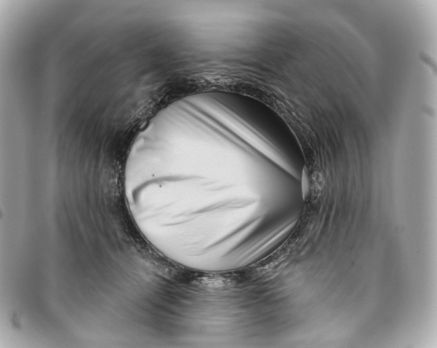 X0000095920464200802011216