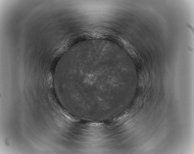 X0000095920465200802011216