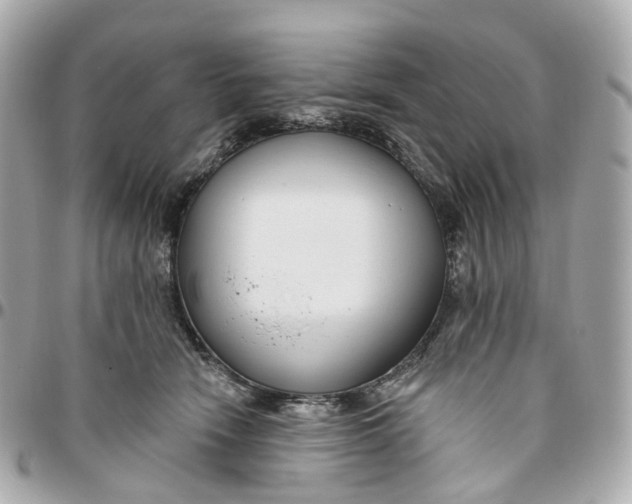 X0000095920466200802011216