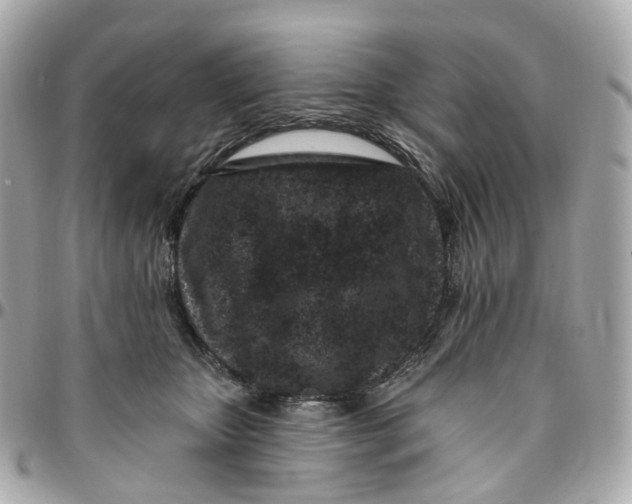 X0000095920467200802011216