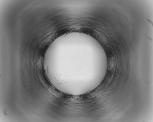 X0000095920468200802011216