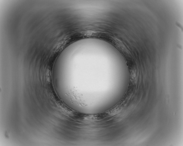 X0000095920470200802011216