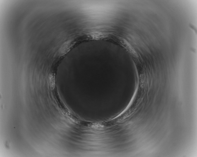 X0000095920471200802011217