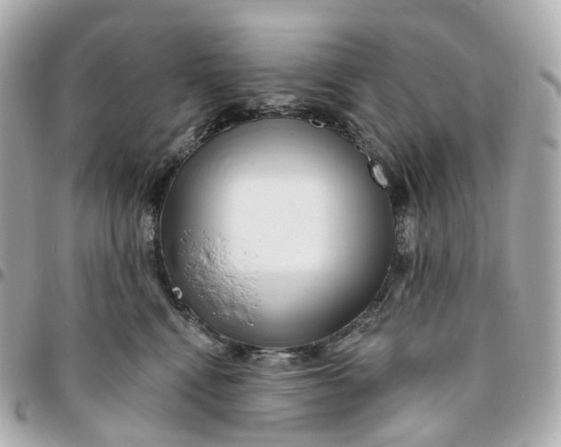 X0000095920472200802011217