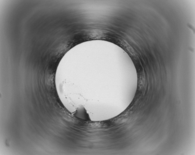 X0000095920473200802011217