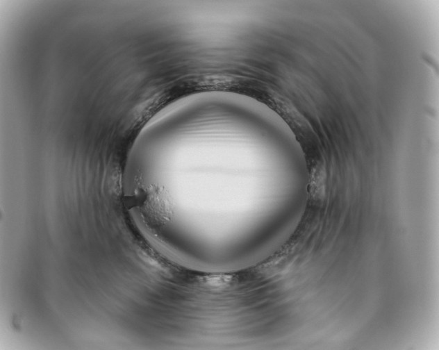 X0000095920474200802011217