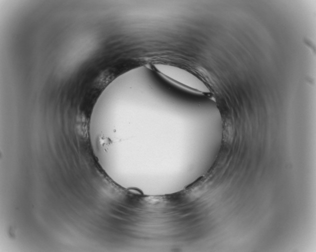 X0000095920477200802011217